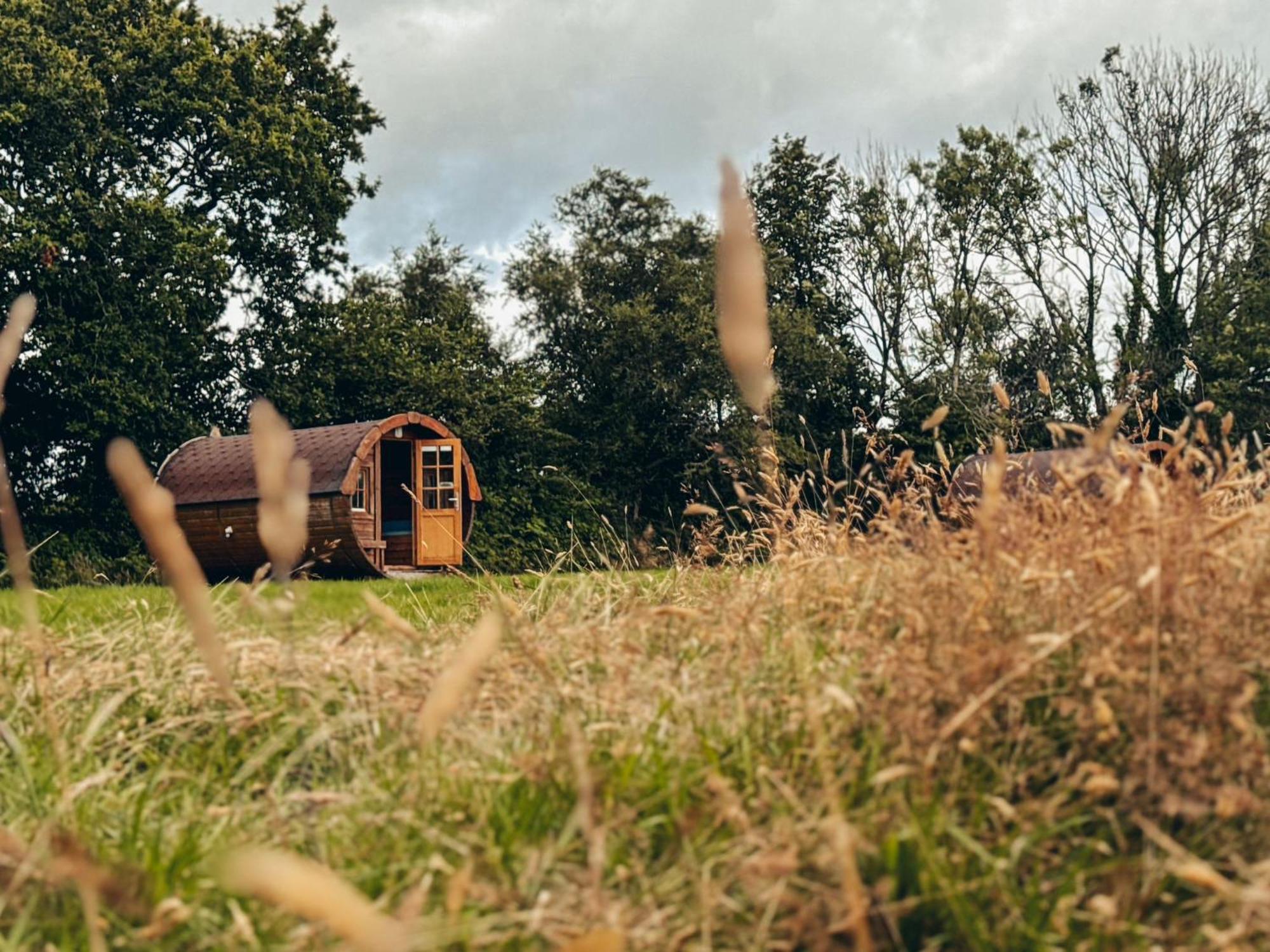 Fully Furnished Bell Tent 1 St Austell Exterior foto